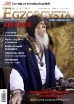 Numer 39 (listopad 2015)